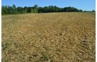 Property photo 6 - 21 Acre Modern Country Estate